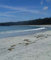 Walk leisurely on the sand beaches, and view the beautiful sightseeing Florida.
